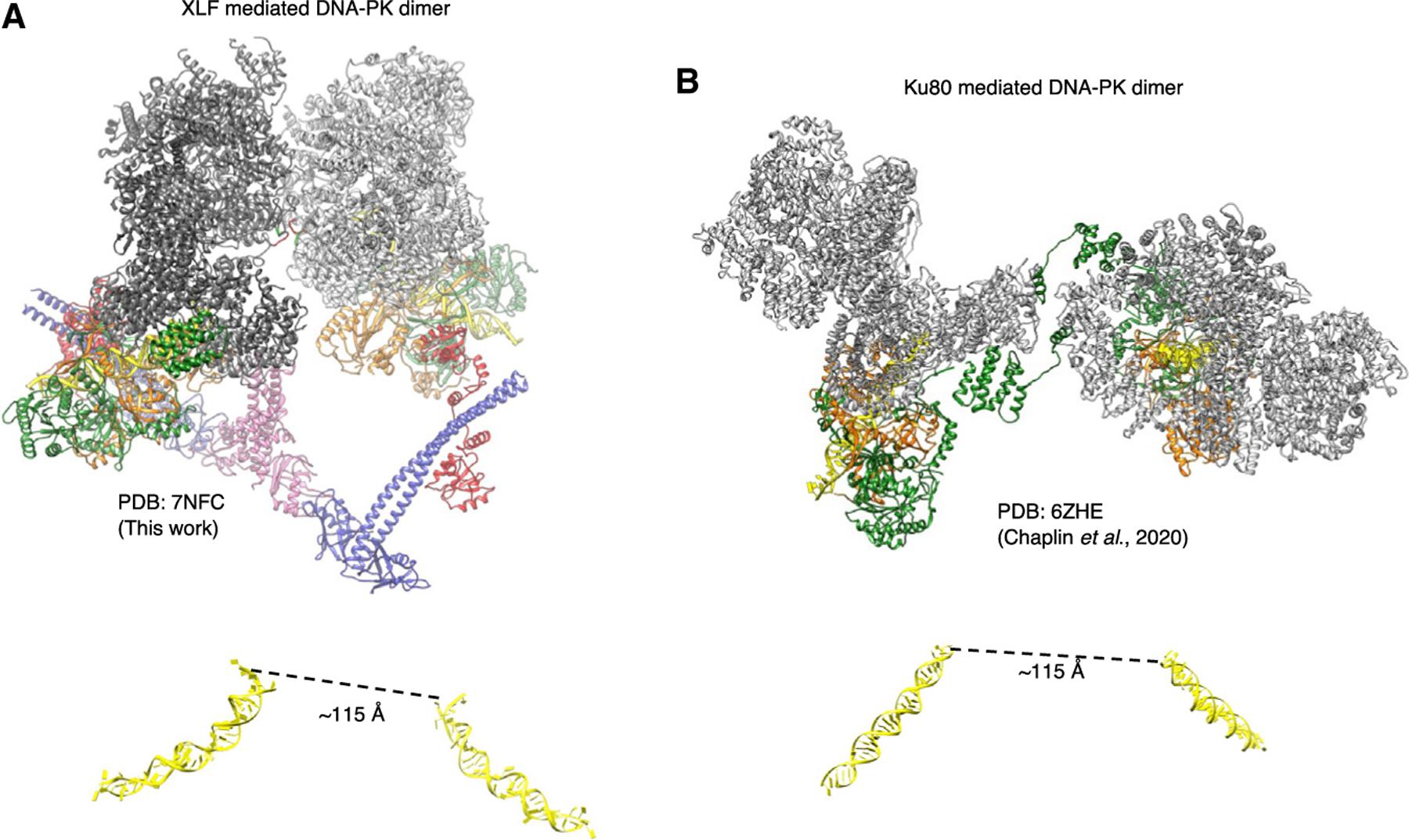 https://cdn.ncbi.nlm.nih.gov/pmc/blobs/a5f1/9006396/3061ff406131/nihms-1790590-f0004.jpg