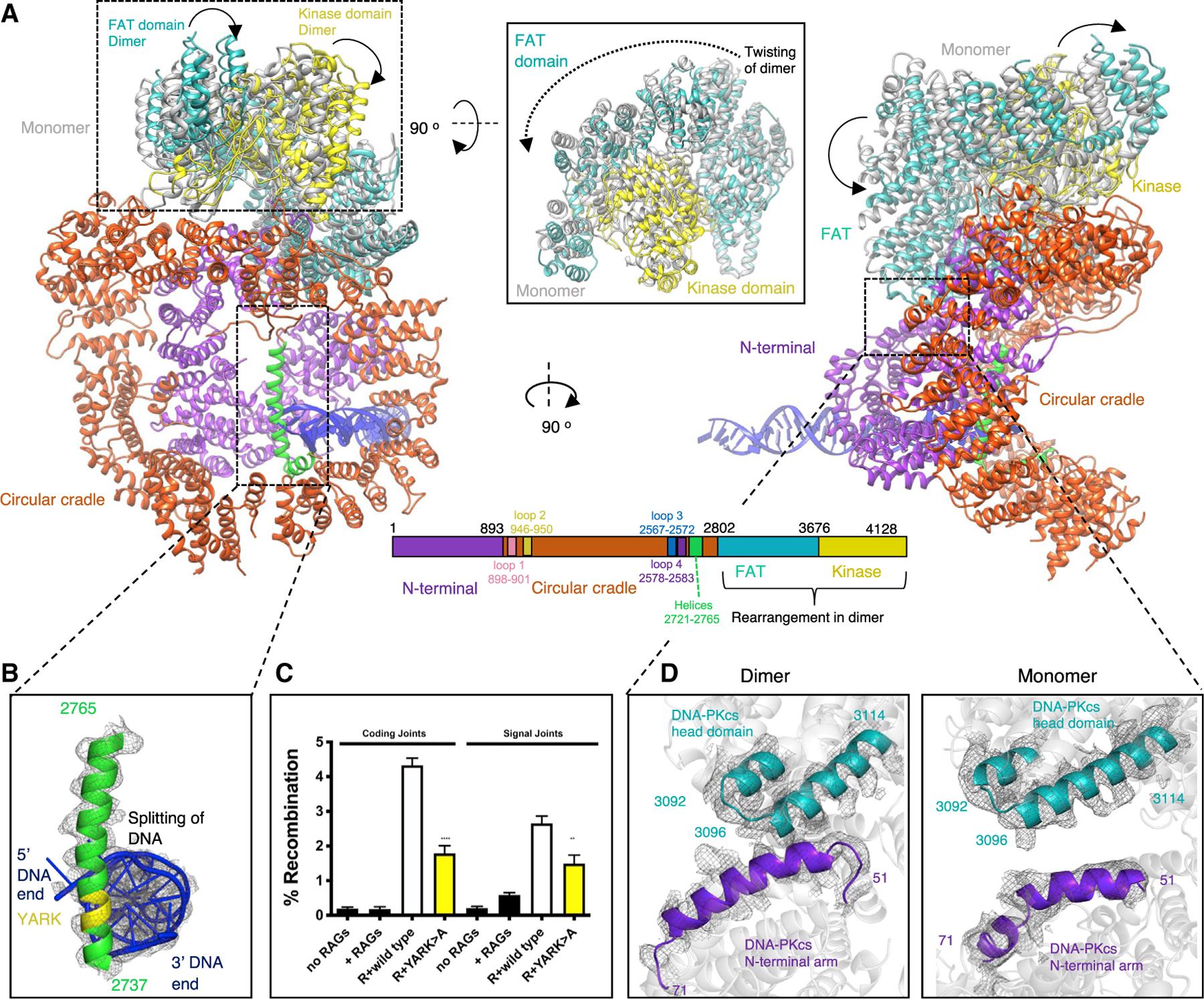 https://cdn.ncbi.nlm.nih.gov/pmc/blobs/a5f1/9006396/bf09de45ae62/nihms-1790590-f0006.jpg