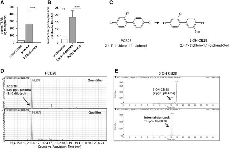 https://cdn.ncbi.nlm.nih.gov/pmc/blobs/a5f2/5225163/c603b29f5af3/204_2016_1725_Fig2_HTML.jpg