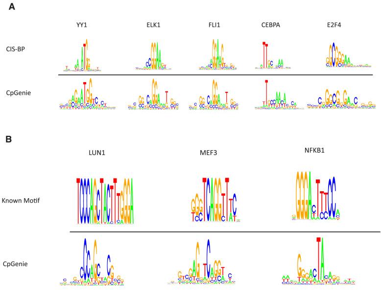 https://cdn.ncbi.nlm.nih.gov/pmc/blobs/a5f2/5499808/73c8add5048f/gkx177fig4.jpg