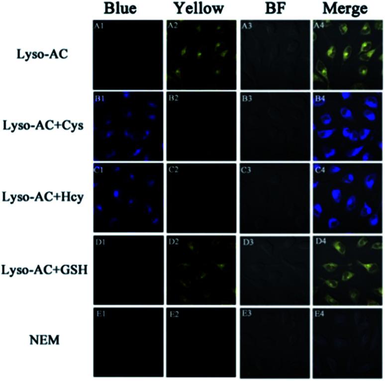 https://cdn.ncbi.nlm.nih.gov/pmc/blobs/a5f2/9061761/b3b6fd4f4bb0/c9ra00210c-f4.jpg