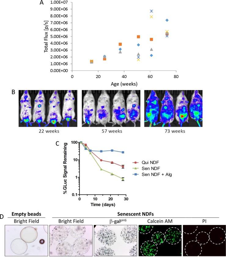 https://cdn.ncbi.nlm.nih.gov/pmc/blobs/a5f3/4993332/76d510358d7d/aging-08-1294-g001.jpg