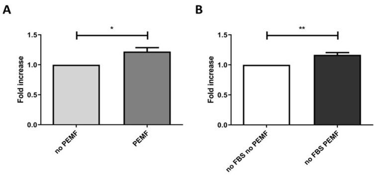 https://cdn.ncbi.nlm.nih.gov/pmc/blobs/a5f4/10706358/1dfe95d5a8b1/ijms-24-16631-g003.jpg