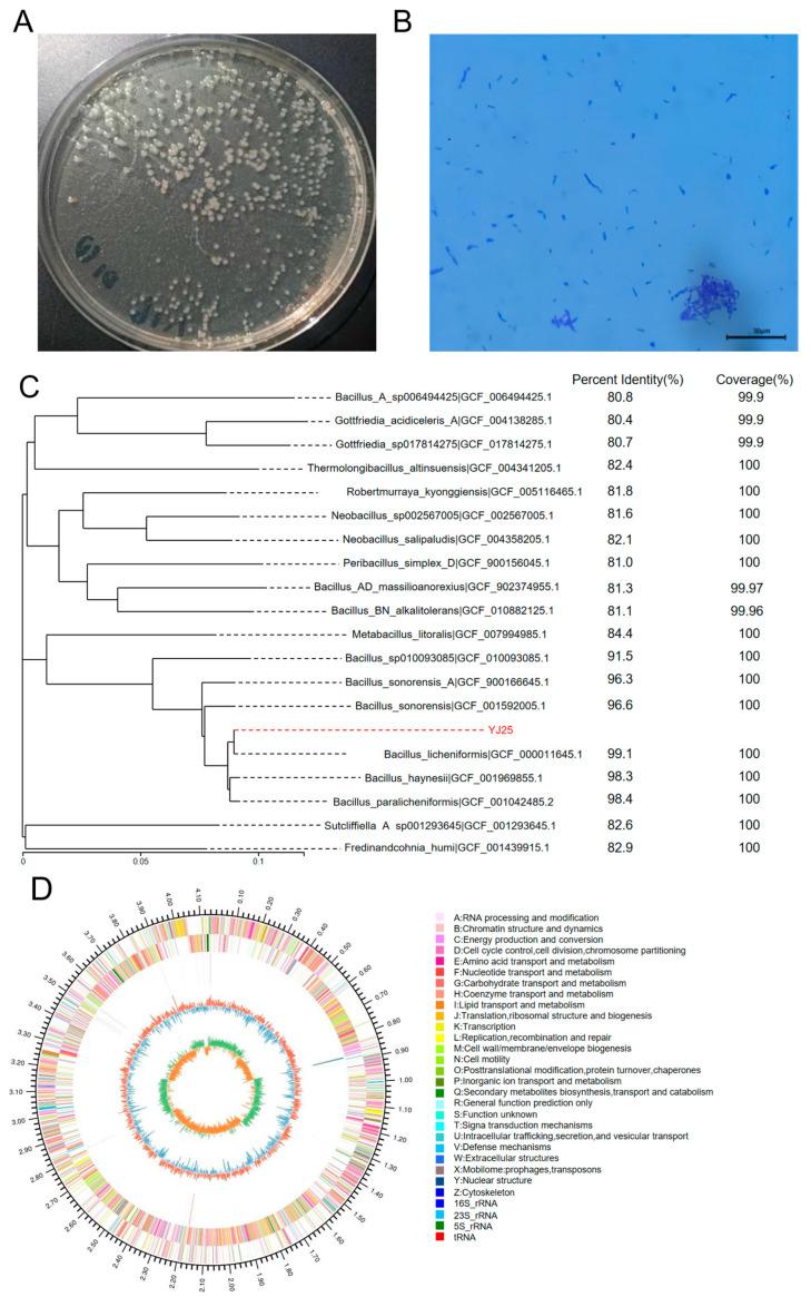 https://cdn.ncbi.nlm.nih.gov/pmc/blobs/a5f4/12197482/4440c59f351f/toxins-17-00263-g002.jpg
