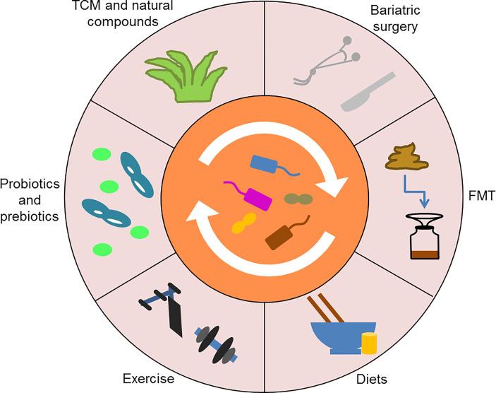 https://cdn.ncbi.nlm.nih.gov/pmc/blobs/a5f6/8886906/980f857b9918/fcimb-12-834485-g005.jpg