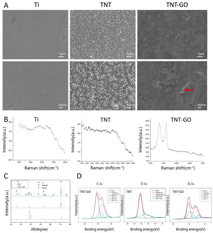 https://cdn.ncbi.nlm.nih.gov/pmc/blobs/a5f7/9368857/2372acc535d3/ijms-23-08723-g001.jpg