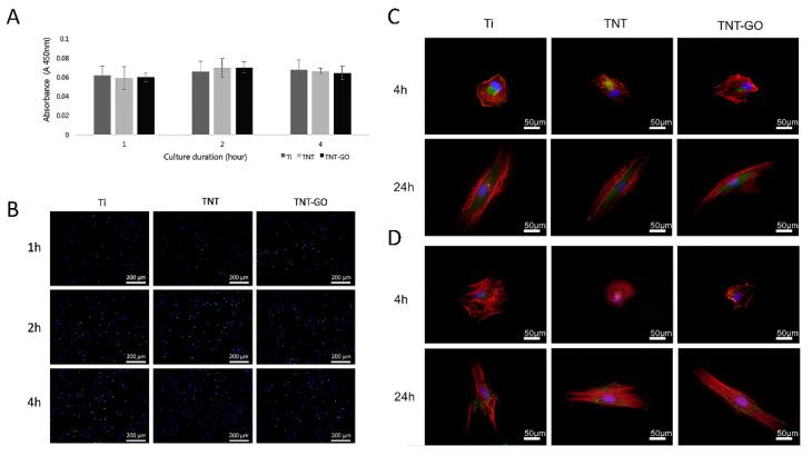 https://cdn.ncbi.nlm.nih.gov/pmc/blobs/a5f7/9368857/a6953e17d3a9/ijms-23-08723-g007.jpg