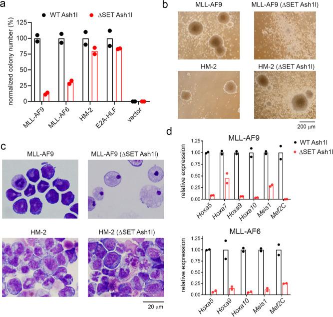 https://cdn.ncbi.nlm.nih.gov/pmc/blobs/a5fd/8121805/1cf9e0457071/41467_2021_23152_Fig1_HTML.jpg
