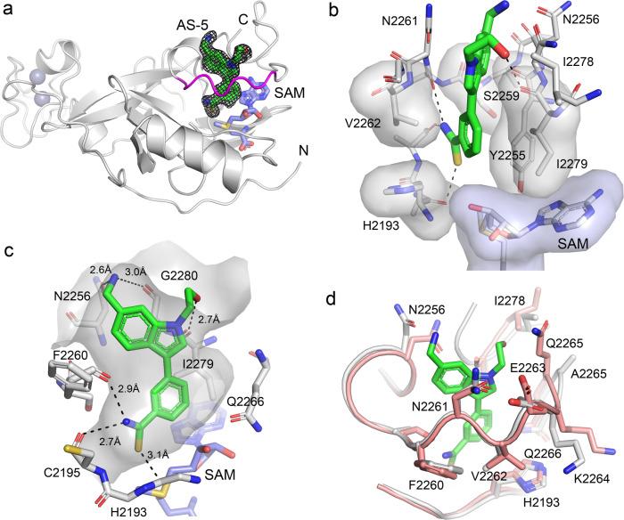 https://cdn.ncbi.nlm.nih.gov/pmc/blobs/a5fd/8121805/8508cd3bfa5e/41467_2021_23152_Fig3_HTML.jpg