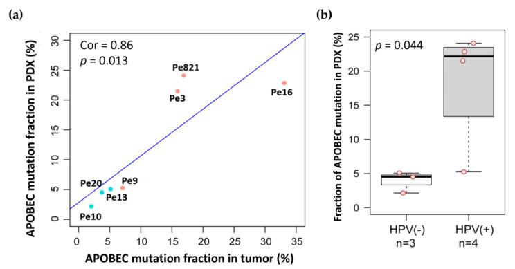 https://cdn.ncbi.nlm.nih.gov/pmc/blobs/a5fe/10930474/4bf68ca3616e/cancers-16-01066-g005.jpg