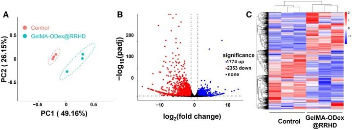 https://cdn.ncbi.nlm.nih.gov/pmc/blobs/a5fe/11703554/2e6038a1389b/rbae134f7.jpg
