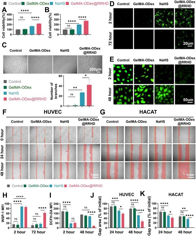 https://cdn.ncbi.nlm.nih.gov/pmc/blobs/a5fe/11703554/97836d0e874e/rbae134f4.jpg