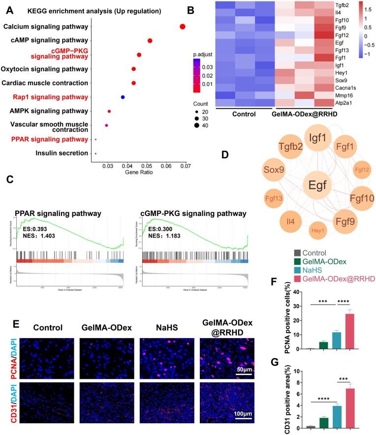 https://cdn.ncbi.nlm.nih.gov/pmc/blobs/a5fe/11703554/b03abf4e015a/rbae134f9.jpg