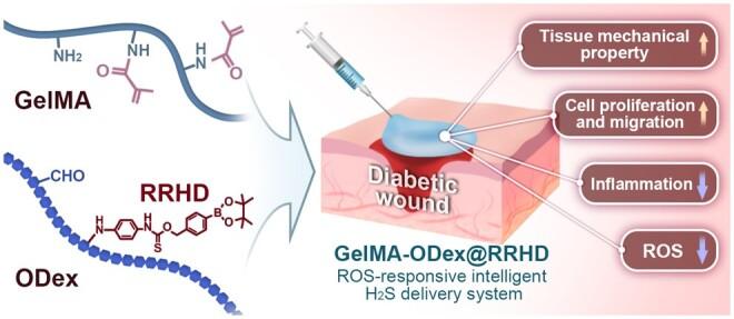 https://cdn.ncbi.nlm.nih.gov/pmc/blobs/a5fe/11703554/efdc6886f4e7/rbae134f10.jpg