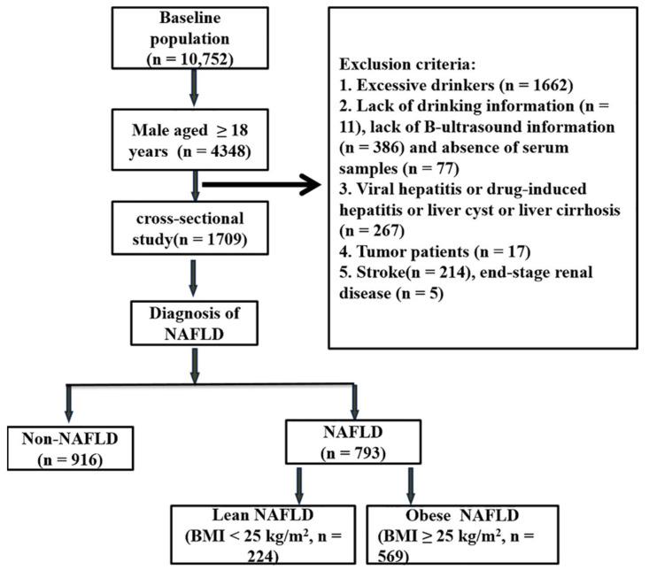 https://cdn.ncbi.nlm.nih.gov/pmc/blobs/a5fe/9180290/0679290576d3/ijerph-19-06424-g001.jpg