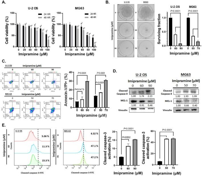 https://cdn.ncbi.nlm.nih.gov/pmc/blobs/a5ff/12401140/71fd3d173baf/JCMM-29-e70761-g001.jpg