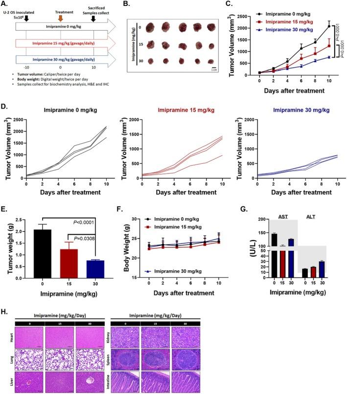 https://cdn.ncbi.nlm.nih.gov/pmc/blobs/a5ff/12401140/fc42766f2cf7/JCMM-29-e70761-g004.jpg
