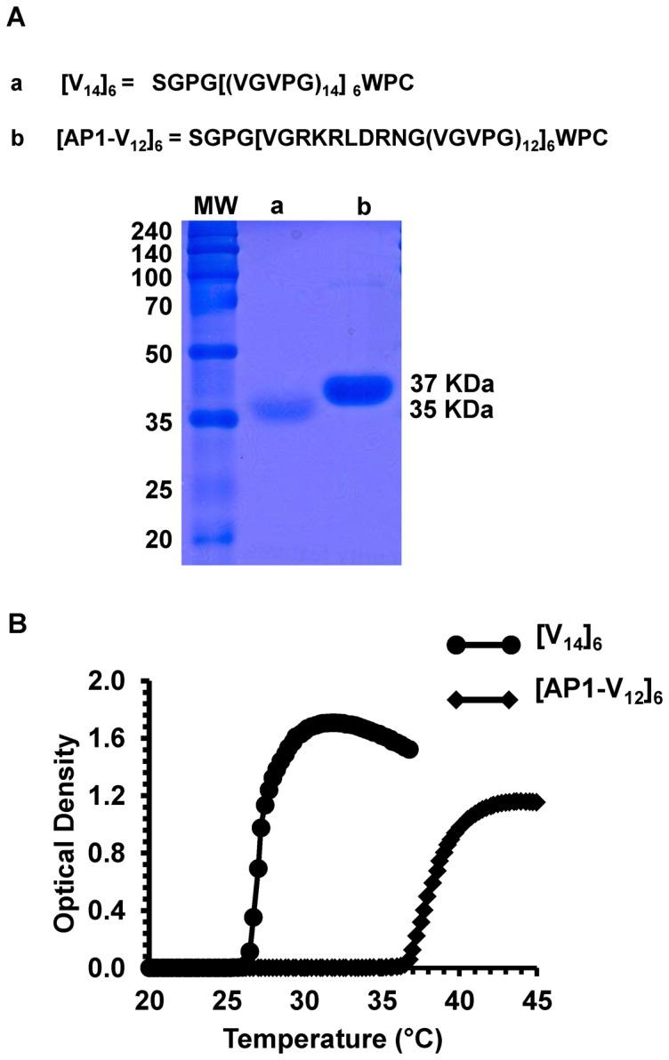 https://cdn.ncbi.nlm.nih.gov/pmc/blobs/a601/3858272/7e078f2f423e/pone.0081891.g002.jpg