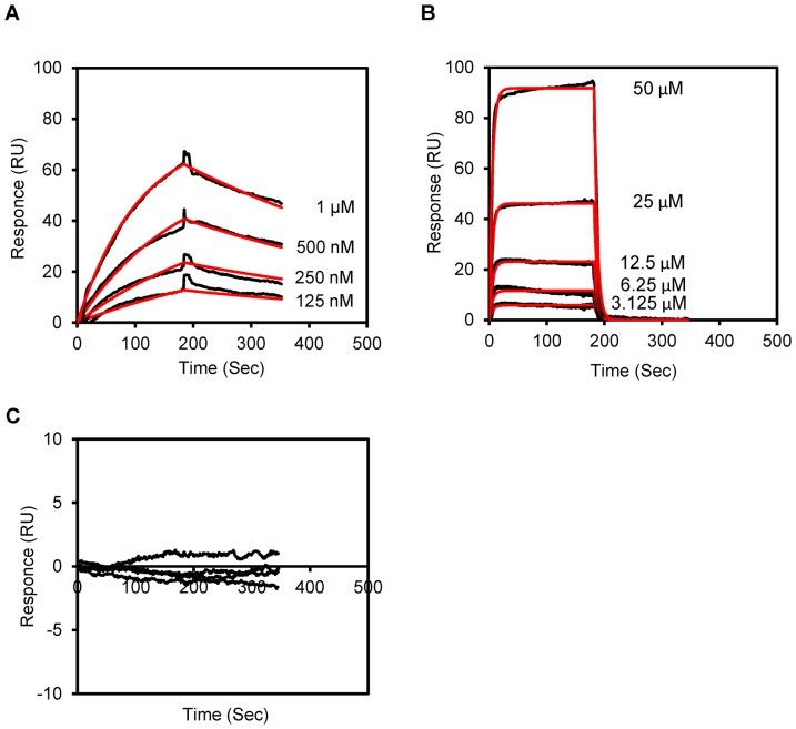https://cdn.ncbi.nlm.nih.gov/pmc/blobs/a601/3858272/b9b27045718f/pone.0081891.g006.jpg