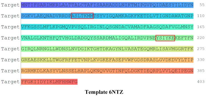 https://cdn.ncbi.nlm.nih.gov/pmc/blobs/a603/9739631/47ef51dc26b1/molecules-27-08434-g001.jpg