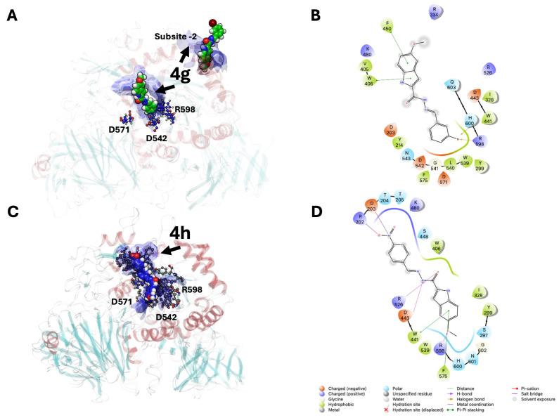 https://cdn.ncbi.nlm.nih.gov/pmc/blobs/a604/12430303/80d87d109e0d/molecules-30-03651-g004.jpg
