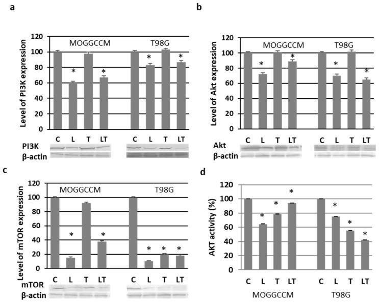 https://cdn.ncbi.nlm.nih.gov/pmc/blobs/a605/8152763/4f23ba62221d/ijms-22-05155-g006.jpg