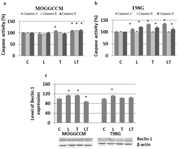 https://cdn.ncbi.nlm.nih.gov/pmc/blobs/a605/8152763/dc239d90216c/ijms-22-05155-g004.jpg