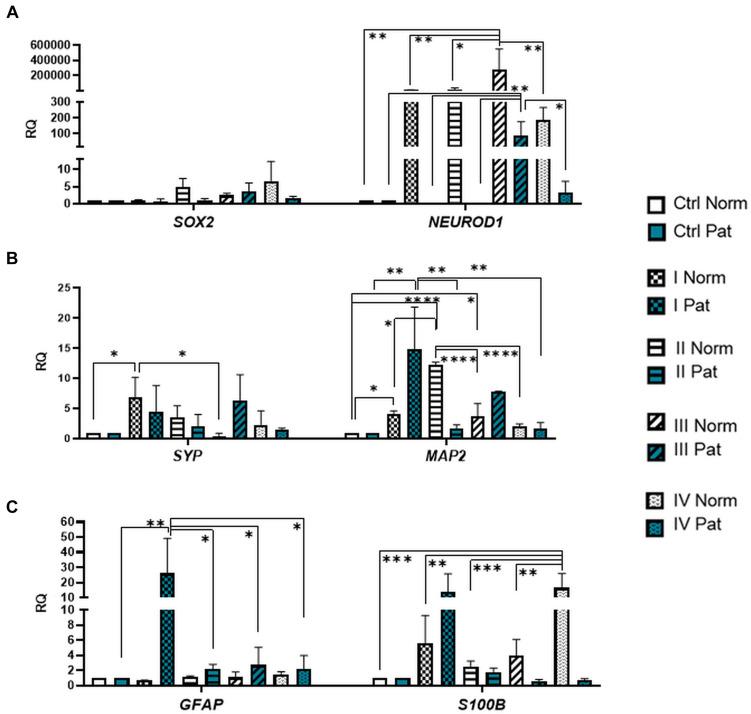 https://cdn.ncbi.nlm.nih.gov/pmc/blobs/a605/8322743/9ddfd789bd2d/fcell-09-700634-g006.jpg