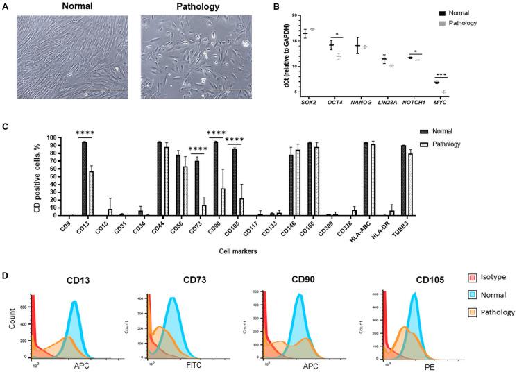 https://cdn.ncbi.nlm.nih.gov/pmc/blobs/a605/8322743/c54cf581366d/fcell-09-700634-g001.jpg