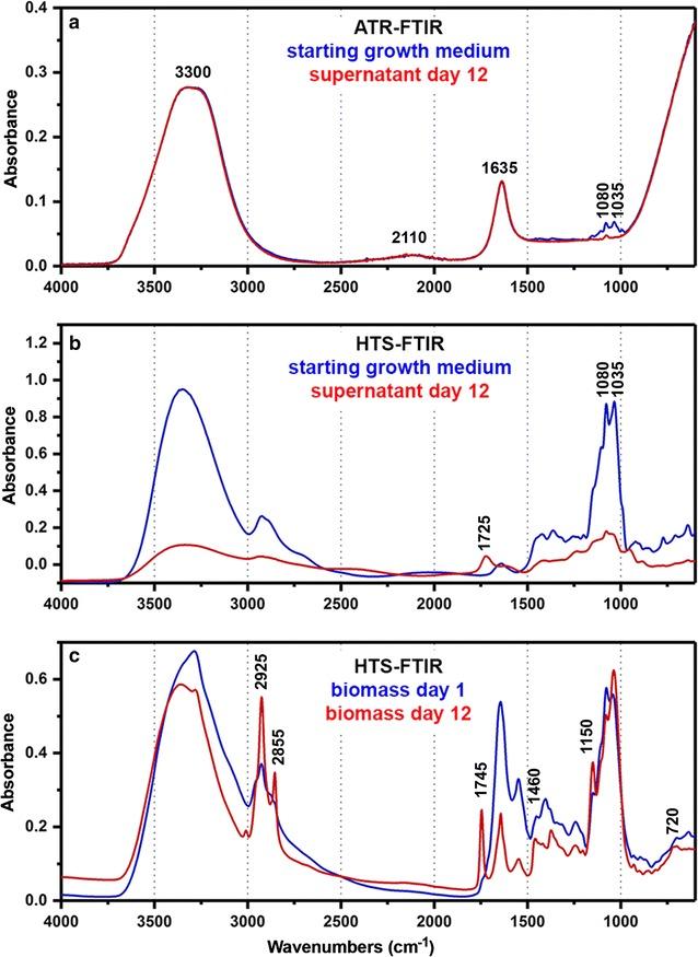 https://cdn.ncbi.nlm.nih.gov/pmc/blobs/a608/5683213/8263465c9865/12934_2017_817_Fig2_HTML.jpg