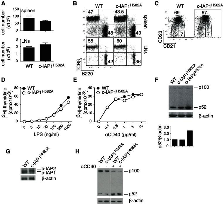 https://cdn.ncbi.nlm.nih.gov/pmc/blobs/a609/3684576/26e0ea0ff84a/pone.0066161.g003.jpg