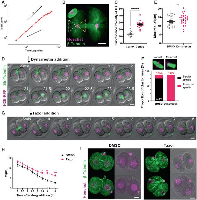 https://cdn.ncbi.nlm.nih.gov/pmc/blobs/a609/9638869/acd52faf9d30/EMBR-23-e55251-g003.jpg