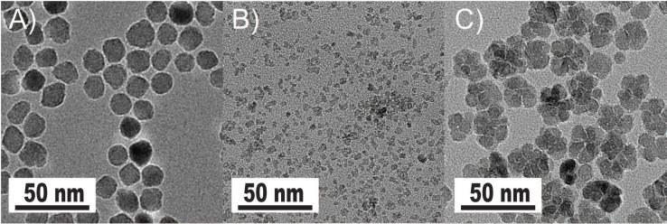 https://cdn.ncbi.nlm.nih.gov/pmc/blobs/a60b/8040827/cc0ba5f426eb/ntnov05p0348g001.jpg