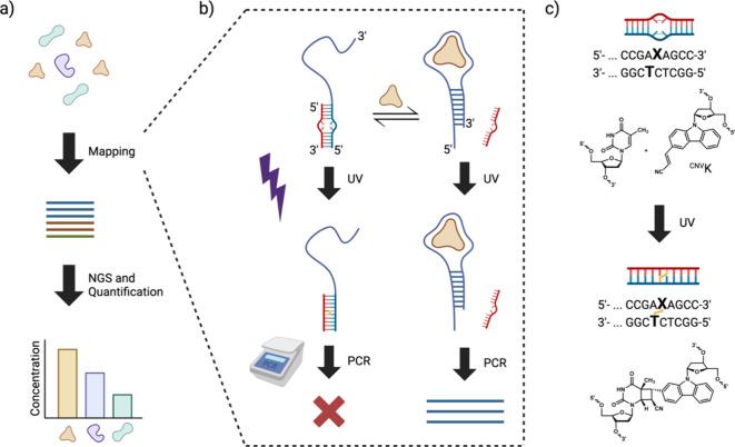https://cdn.ncbi.nlm.nih.gov/pmc/blobs/a60c/11525510/567557c66ae6/ao4c05258_0001.jpg