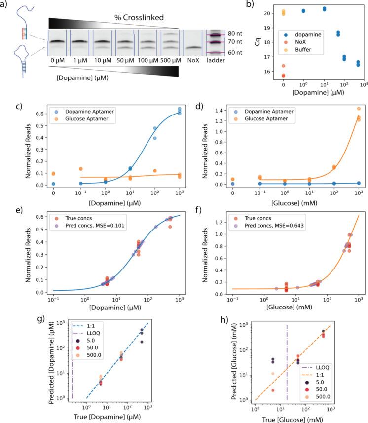 https://cdn.ncbi.nlm.nih.gov/pmc/blobs/a60c/11525510/9de0c2769567/ao4c05258_0002.jpg
