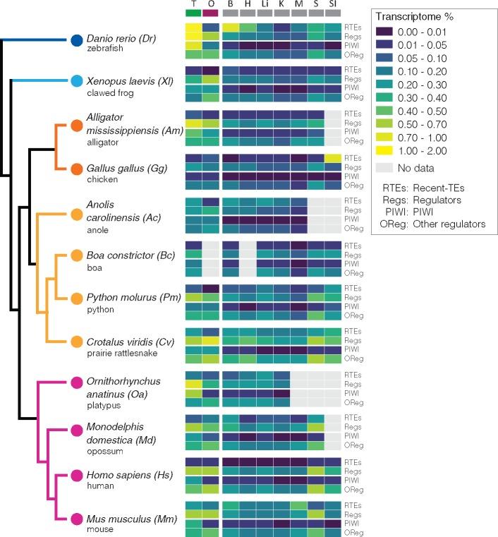 https://cdn.ncbi.nlm.nih.gov/pmc/blobs/a60d/7211425/d8b097f014bb/evaa068f4.jpg