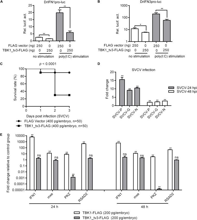 https://cdn.ncbi.nlm.nih.gov/pmc/blobs/a60e/7554342/9139dca1aa22/fimmu-11-580864-g002.jpg