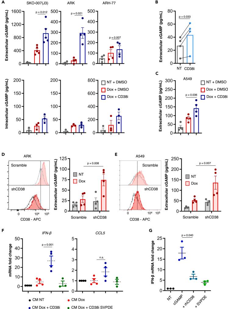 https://cdn.ncbi.nlm.nih.gov/pmc/blobs/a611/11091702/7e5c65d66d27/gr3.jpg