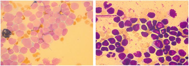 https://cdn.ncbi.nlm.nih.gov/pmc/blobs/a611/11663633/20fabcb3d60c/fped-12-1497943-g001.jpg
