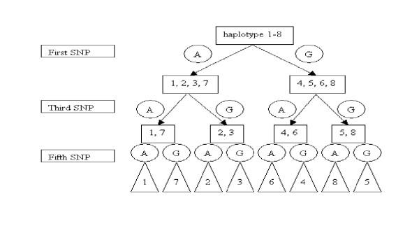 https://cdn.ncbi.nlm.nih.gov/pmc/blobs/a615/476734/7c3a4dacd8f4/1471-2105-5-89-1.jpg