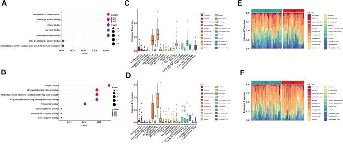 https://cdn.ncbi.nlm.nih.gov/pmc/blobs/a615/9201760/3751045a0f6d/fgene-13-908113-g005.jpg