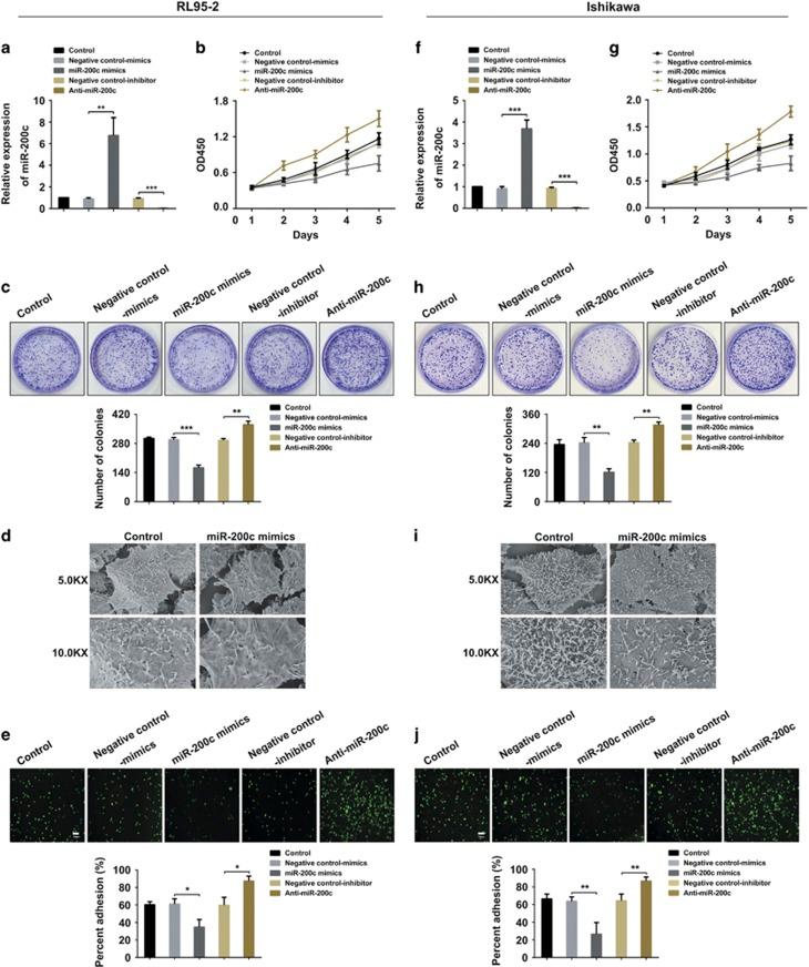 https://cdn.ncbi.nlm.nih.gov/pmc/blobs/a616/5686352/aeeb958ce366/cdd2017136f2.jpg