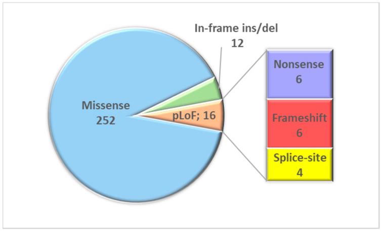 https://cdn.ncbi.nlm.nih.gov/pmc/blobs/a616/7600768/771ea4c4feea/genes-11-01123-g001.jpg