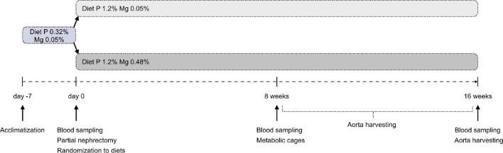 https://cdn.ncbi.nlm.nih.gov/pmc/blobs/a616/9130027/34e161b43fe3/gfac026fig1.jpg