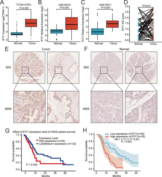 https://cdn.ncbi.nlm.nih.gov/pmc/blobs/a617/8648688/31f7030a5c23/13402_2021_651_Fig1_HTML.jpg