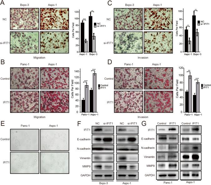 https://cdn.ncbi.nlm.nih.gov/pmc/blobs/a617/8648688/4564849876f4/13402_2021_651_Fig5_HTML.jpg