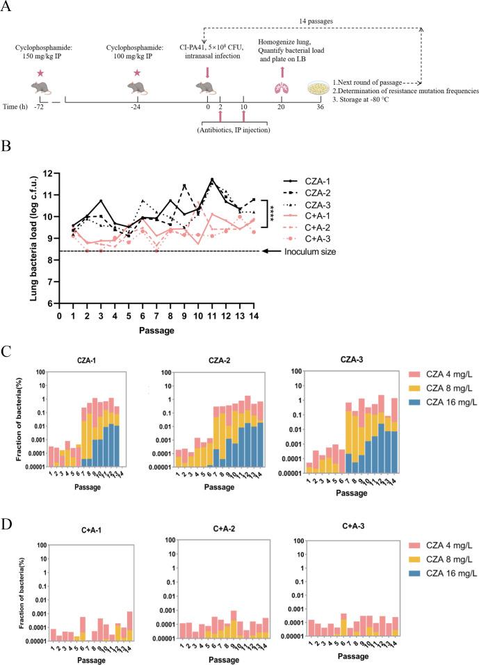 https://cdn.ncbi.nlm.nih.gov/pmc/blobs/a619/12096824/e80d7e7e9778/jb.00552-24.f007.jpg