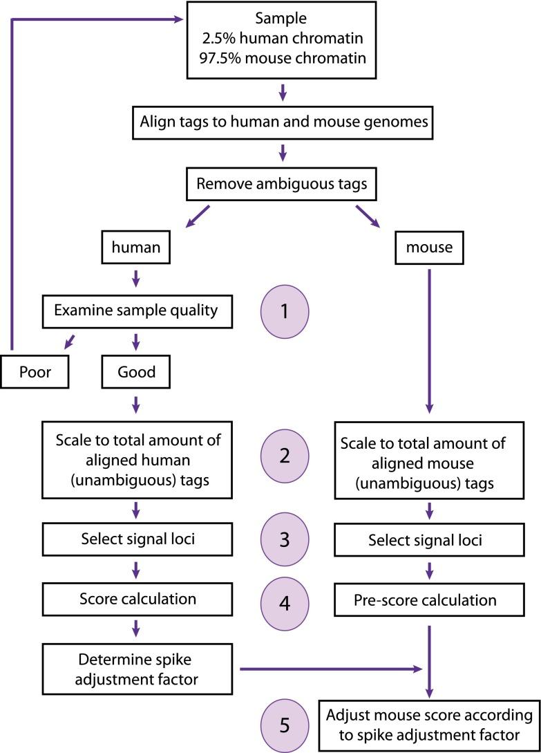 https://cdn.ncbi.nlm.nih.gov/pmc/blobs/a621/4079971/027c5bd8b95a/1157fig2.jpg
