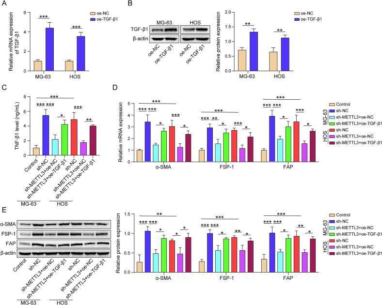 https://cdn.ncbi.nlm.nih.gov/pmc/blobs/a623/11875831/19e56863e3e3/gr4.jpg