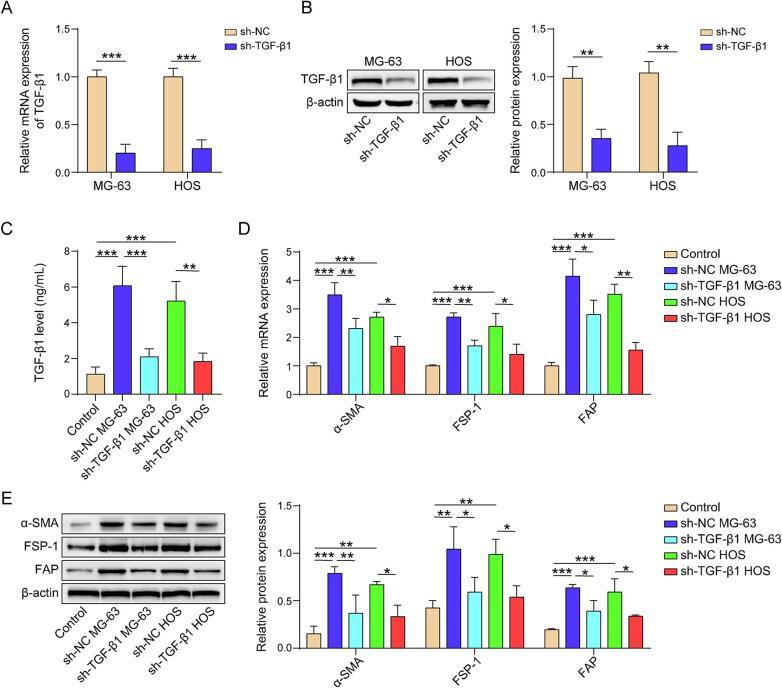 https://cdn.ncbi.nlm.nih.gov/pmc/blobs/a623/11875831/5ac3e2ee04e3/gr2.jpg